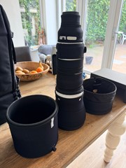 Sigma 300-600mm F4 DG OS Sports 