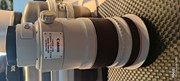 Canon EF 300mm F/2.8 L USM IS II + 2x extender III