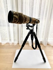 500mm F4L IS USM