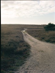 5 pack Fuji Pro 400H 120-spoel