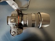 Sony A7R III + Sony FE 24-105mm F4 G OSS