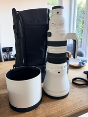Sigma 300-600mm F4 DG OS Sports 