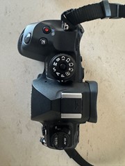 OM-1 Mark II + 12-40 PRO II | 1494 clicks | 5,5 jr