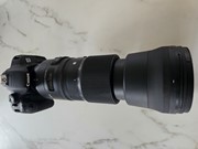 Sigma 150 600mm contemporary  + canon d700 cam