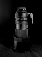 150-600 mm Sigma voor Nikon