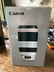 Canon EF 100-400mm 4 5-5 6L USM IS