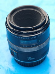  Canon EF 2.5 50mm 1:2 macro + Nikon ZK en 52 UV 