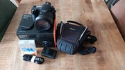 Sony dsc-rx10iv 