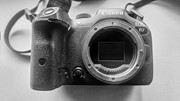 Canon R7 Mirrorless Body 