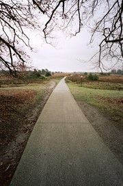 4 stuks 5 pack Kodak Portra 160NC 135-kleinbeeld 