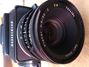 Hasselblad 501c