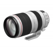Canon EF 100-400mm 4 5-5 6L USM IS