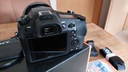 Sony dsc-rx10iv 