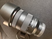 Sony FE 24-105mm F/4.0G OSS