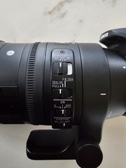 Sigma 150 600mm contemporary  + canon d700 cam