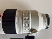 Sony 100-400 telelens