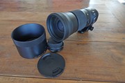 Sigma 150-600 f/5-6.3 DG OS HSM C Nikon.